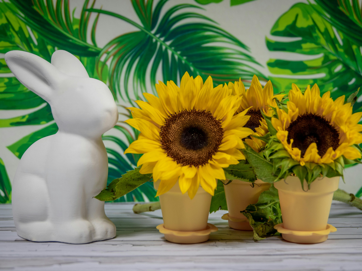 overleden huisdier - rouw - verlies - gemis - verdriet - rememberme pets